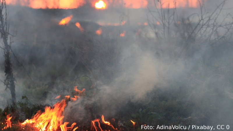 Image: Feuer und Rauch
