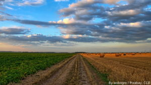 Image: Agriculture