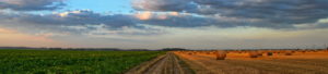 Photo: Path in Nature