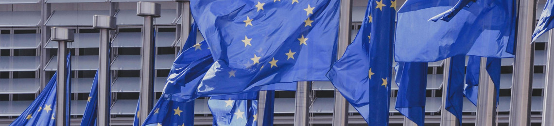 Photo: EU Flags