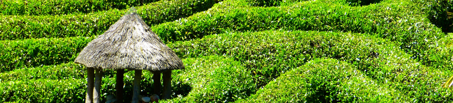 Labyrinth aus grüner Hecke, links Unterstand aus Holz