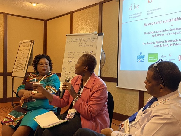 Foto: Diskussion während eines Workshops beim African Regional Forum on Sustainable Development