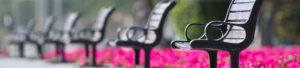 Photo: Empty Benches in a Park as a symbol for social distancing