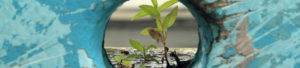 Photo: Plant through a hole in a boat