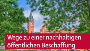 Cover: Wege zu einer nachhaltigen öffentlichen Beschaffung