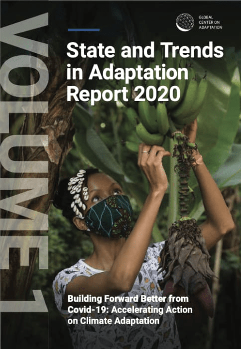 Cover: State and Trends in Adaption Report 2020