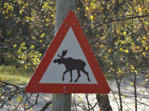 Photo: SUDEA picture