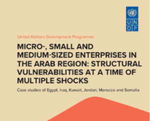 Cover: Report UNDP "Building Back Better"