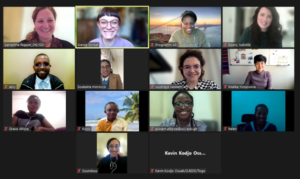 Screenshot of the meeting participants