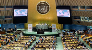 Photo: United Nations Plenary in New York