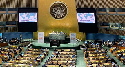 Photo: United Nations Plenary in New York