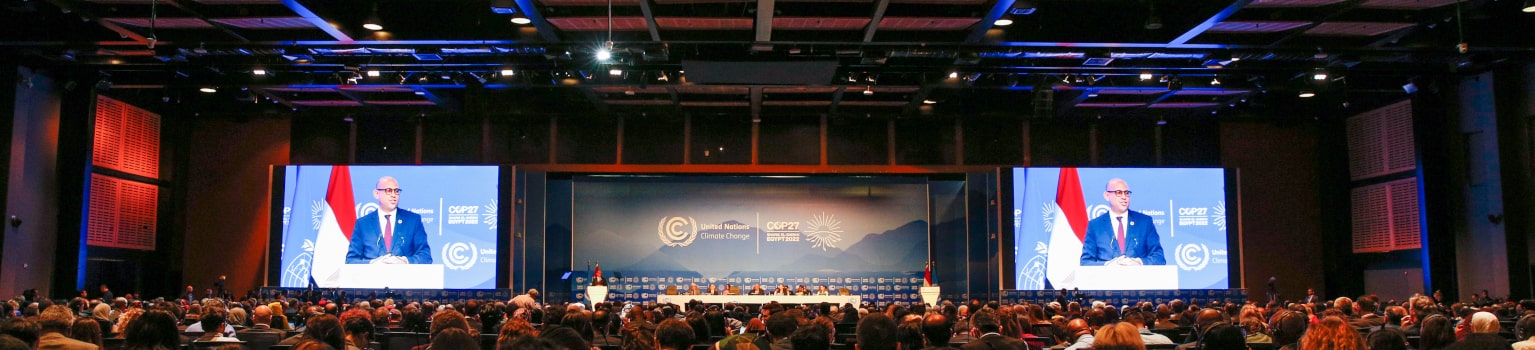 Photo: COP 27 Assembly