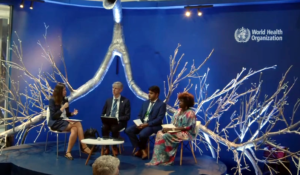 Photo: Impressions of the UNFCCC COP27 by IDOS
