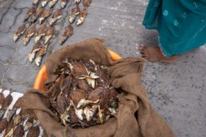 Photo: Getrocknete Fische in einem Sack / Dead Fish in a bag