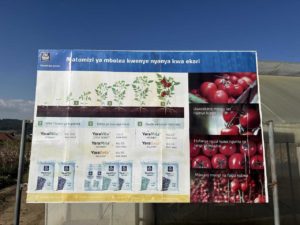 Photo: Plakatwand zur Anpflanzung von Tomaten in der Region.