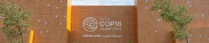 A Scene at the UNCCD COP16, Riyadh 2024.