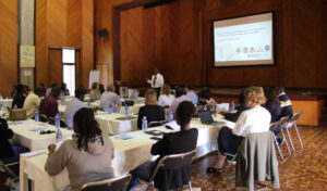 Photo: Audience of the workshop facing towards the presentation.